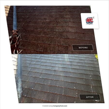 The Importance of Maintaining Your Home’s Exterior with Professional Roof Washing