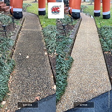 Advanced-Power-Cleaning-Professional-Exterior-Cleaning-you-can-count-on-in-Mechanicsville-Virginia 0