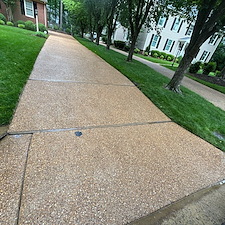 Advanced-Power-Cleaning-Richmonds-Top-Pressure-Washing-Company-Serving-Henrico-VA-with-Expert-House-Washing-and-Driveway-Cleaning 16