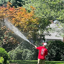 Advanced-Power-Cleaning-Richmonds-Top-Choice-for-House-Washing-and-Exterior-Cleaning-Services 11