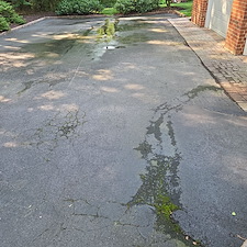 Advanced-Power-Cleaning-Richmonds-Top-Choice-for-House-Washing-and-Exterior-Cleaning-Services 17