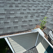 Advanced-Power-Cleaning-Transforms-Richmond-Home-with-Expert-House-Washing-and-Gutter-Cleaning-Services 10