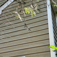Advanced-Power-Cleaning-Transforms-Richmond-Home-with-Expert-House-Washing-and-Gutter-Cleaning-Services 7