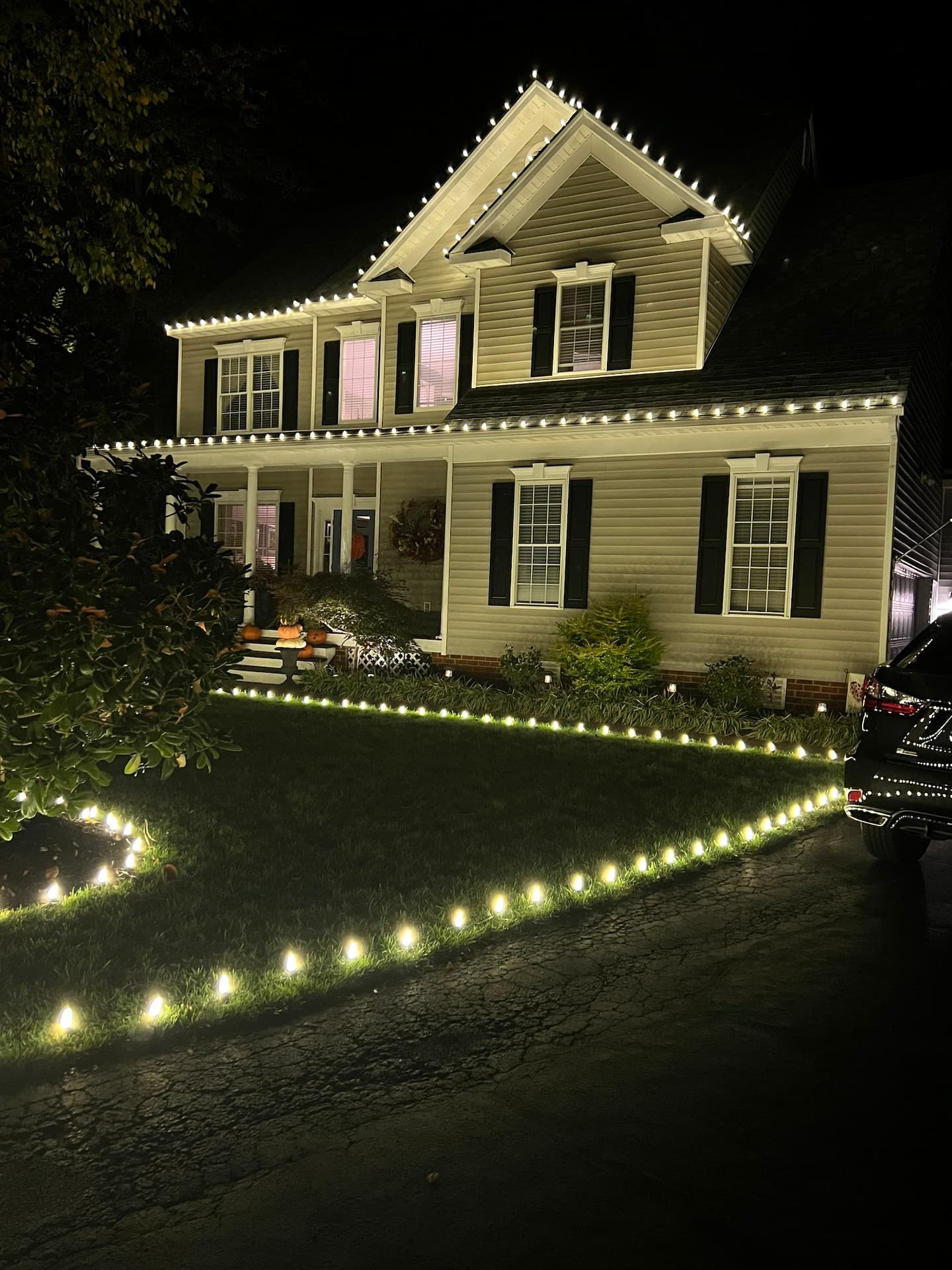 Christmas Lighting Service 3